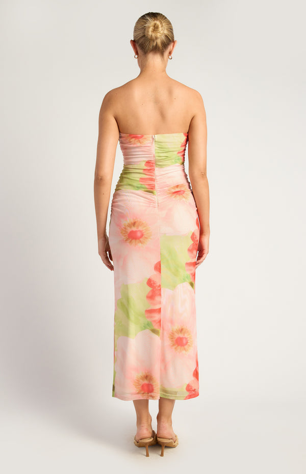 Elysia Strapless Mesh Midi Dress - Coral Green