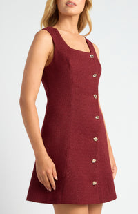 Graciela A-Line Mini Dress - Merlot