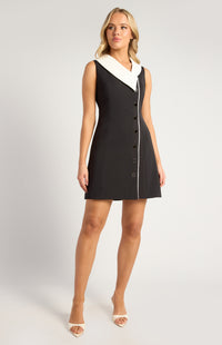 Marielle Sleeveless Mini Dress - Black