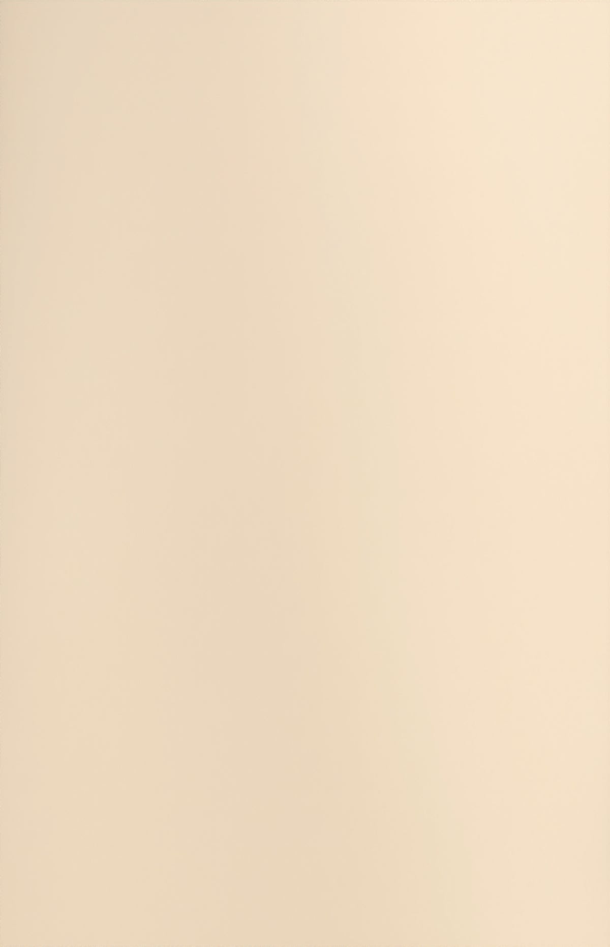 Dennie Straight Leg Pants - Oat