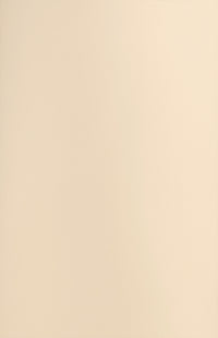 Dennie Straight Leg Pants - Oat