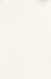 Melania Top & Skirt Set - White