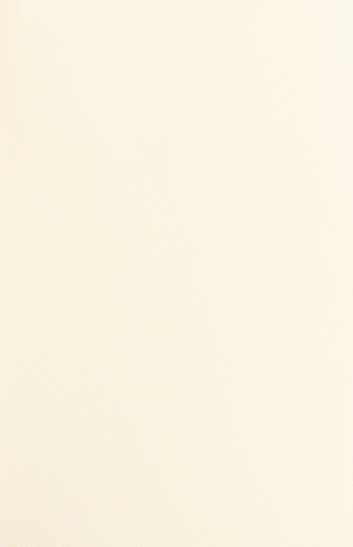 Lina Wide Leg Pants - Bone
