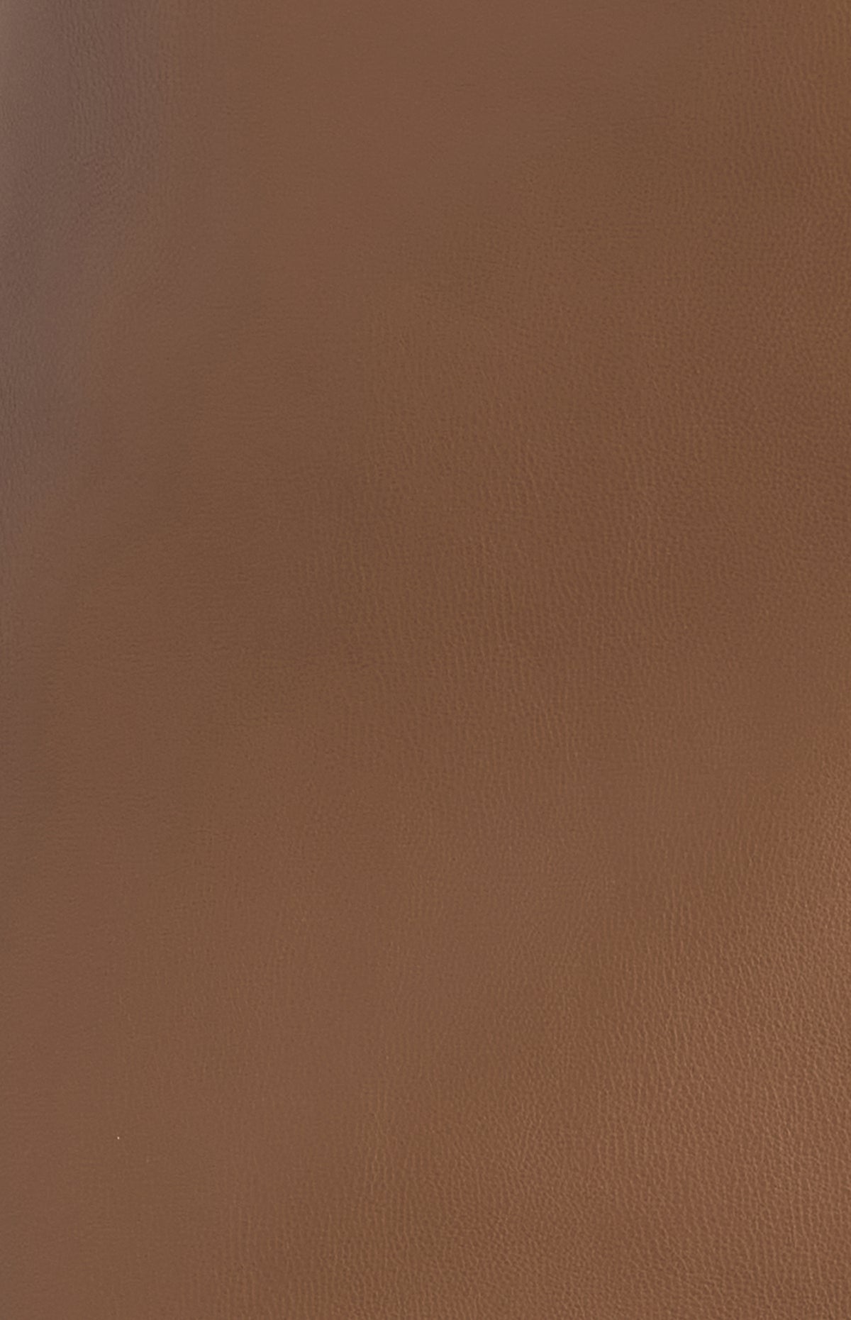 Perez Faux Leather Skirt - Mocha