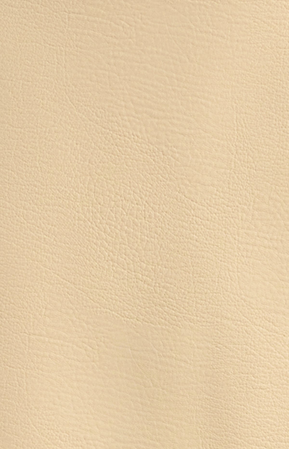 Deanne Faux Leather Mini Skirt - Stone
