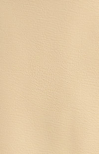 Deanne Faux Leather Mini Skirt - Stone