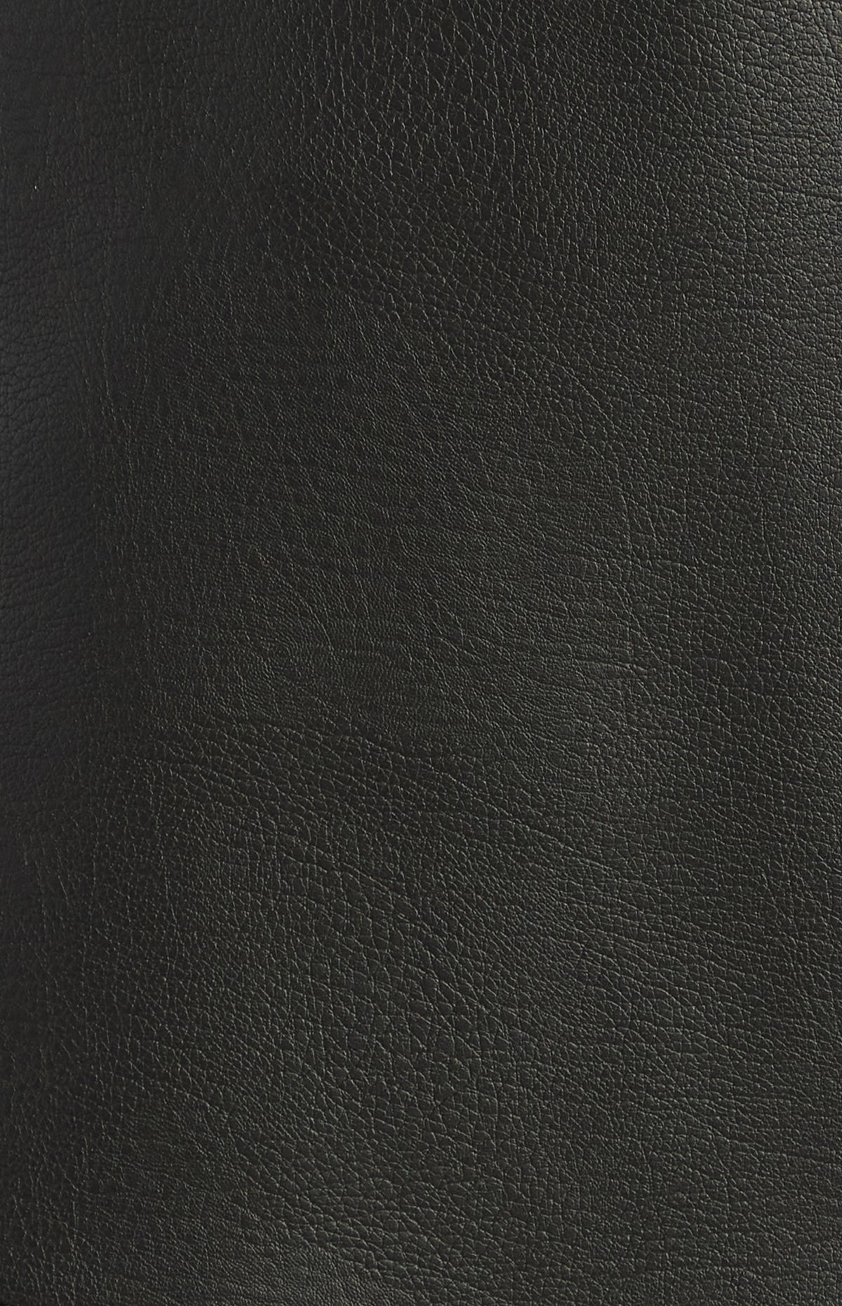 Deanne Faux Leather Mini Skirt - Black