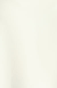 Elarina Scarf Chiffon Top - Bone