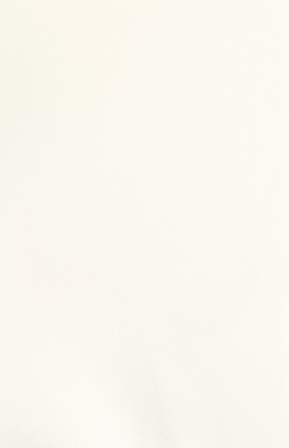 Yulissa T-Shirt - White