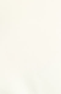 Yulissa T-Shirt - White