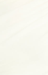 Peta Short Sleeve Top - White